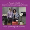 A Therapist’s Guide to Emotionally Focused Couples Therapy: Working with Emotions in EFT (Lesson 3)